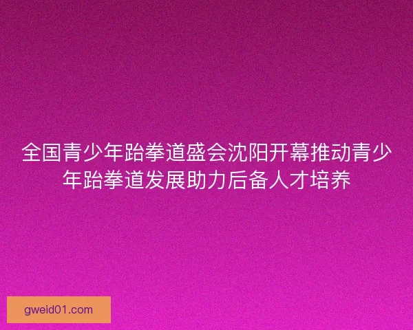 全国青少年跆拳道盛会沈阳开幕推动青少年跆拳道发展助力后备人才培养